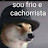 @cachorro_pensativo
