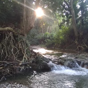 Blissful Nature
