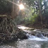 azeXKOmMxAg-channel-avatar-Blissful Nature 