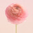 @VVICK1004