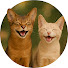 zA27EiEmNrw-channel-avatar-aby_tailtales