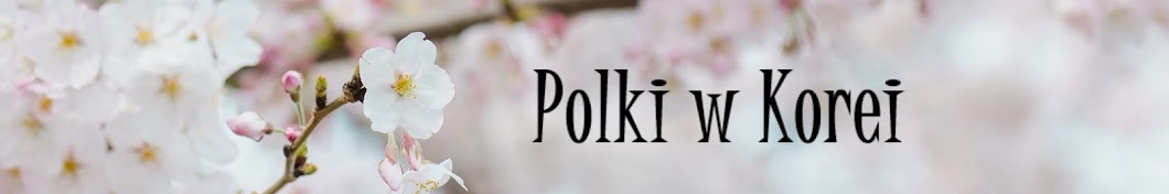 Polki w Korei YouTube channel avatar
