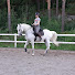 DmfRdsH5AyA-channel-avatar-Johanna J Equestrian Physio