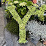 EDlSwBbytjQ-channel-avatar-YOSHIEの暮らし