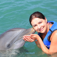  Bláznivé cestování 