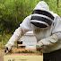 sMukXHNsa-k-channel-avatar-Cole's Farm NC Beekeeping