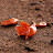 @Aruna_RamKumar Avatar