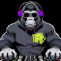 PRyVBv8T2s4-channel-avatar-Young Homie