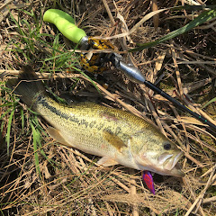 スイッチオフアイコン画像