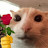 General Flower Cat