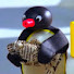 Bu6lCHJ074g-channel-avatar-PinguDVG