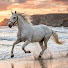 iRSQhCdR2gY-channel-avatar-Dreams-Music 