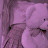 @مجنونة-ث4ر