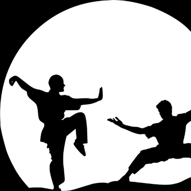 Ultimate Kungfu Arena