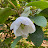 @Lalali28123 Avatar