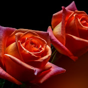 Bengali Classic Story