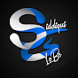 Siddiqui Globe logo