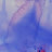 @user-ut9fn3wl5v
