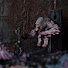 enkOliFZ0eE-channel-avatar-Quarantine Miniatures