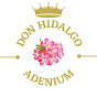 DON HIDALGO ADENIUM - @donhidalgoadenium1135 - Youtube