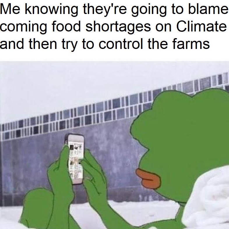 Post from Off Topic Show Memes