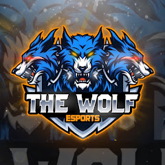 The Wolf eSports net worth