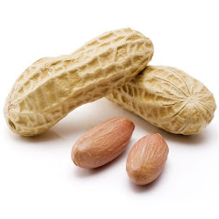 ピーナッツ吉田Ch