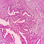 Histopathology for Residents logo