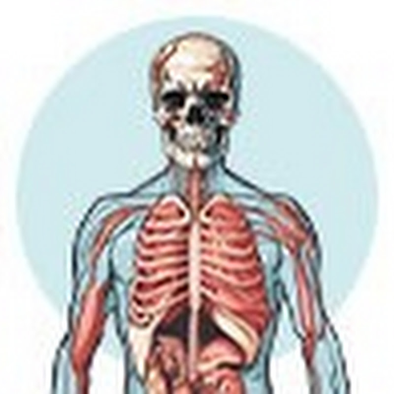 The Anatomy Nerd