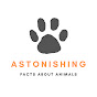Astonishing Facts About Animals logo