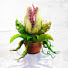 UoHg8Ve9-ow-channel-avatar-Little Shop of Horrors Off-Broadway