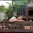 hn-D_xiFLg8-channel-avatar-raha farsaei