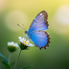 スカッと感動TV