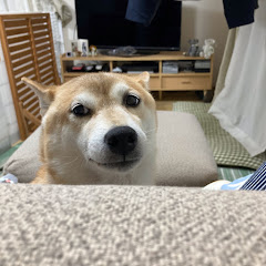 むー君の日常