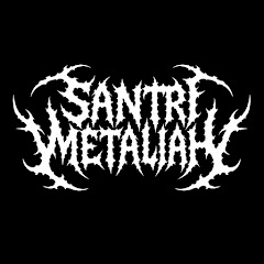 Sudaryanto Notonegoro 🕸️ Santri Metaliah