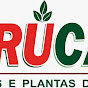 Cortes Frucafé logo