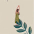 iJ88qhI_xKA-channel-avatar-Haitham Ahmed