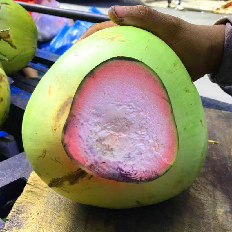 R&V Pink CoCo