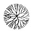 H7TybCbc8zE-channel-avatar-Ironwood Church