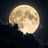 jvm9A_XBdE4-channel-avatar-Taromoona 🌑 and Copra 69 🌕🌑