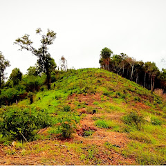 Nguyên Giáp 1945 net worth