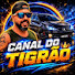 f-364xDUU3I-channel-avatar-canal do tigrão 