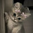 @nabilayasser-c6k9q
