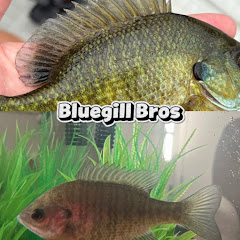 Bluegill bros #official