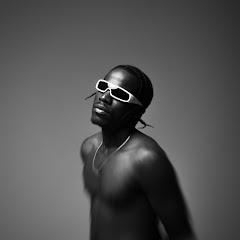 NuttyOVEVO net worth