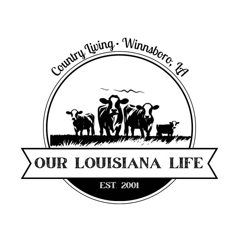 Our Louisiana Life