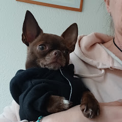 Bentje - ein echter Hund
