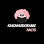 Knowledgeable Facts logo