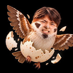 룡찌