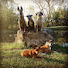 YqW-V24GgYU-channel-avatar-Top Dog Obedience